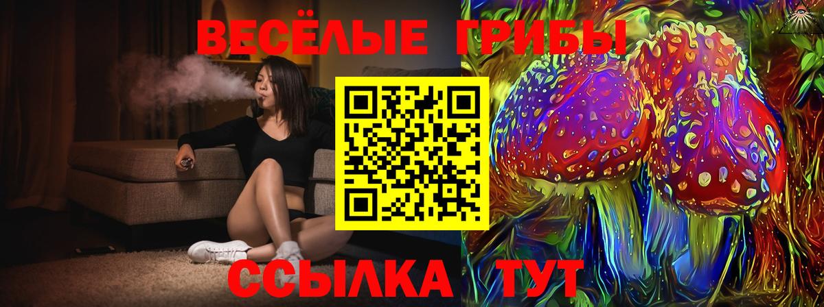 Псилоцибиновые грибы MAGIC MUSHROOMS  Вход с VPN  Касимов  Псилоцибиновые грибы Psilocybe 