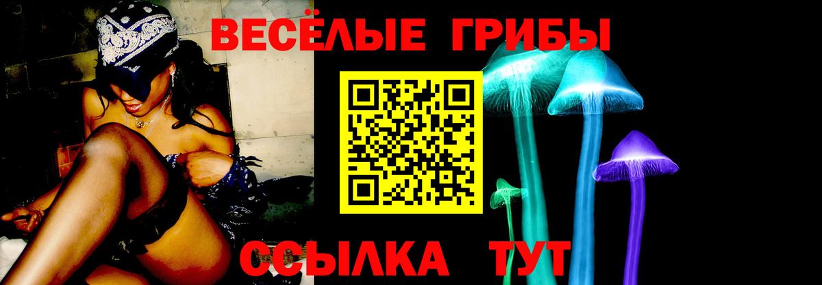Псилоцибиновые грибы Psilocybine cubensis Касимов